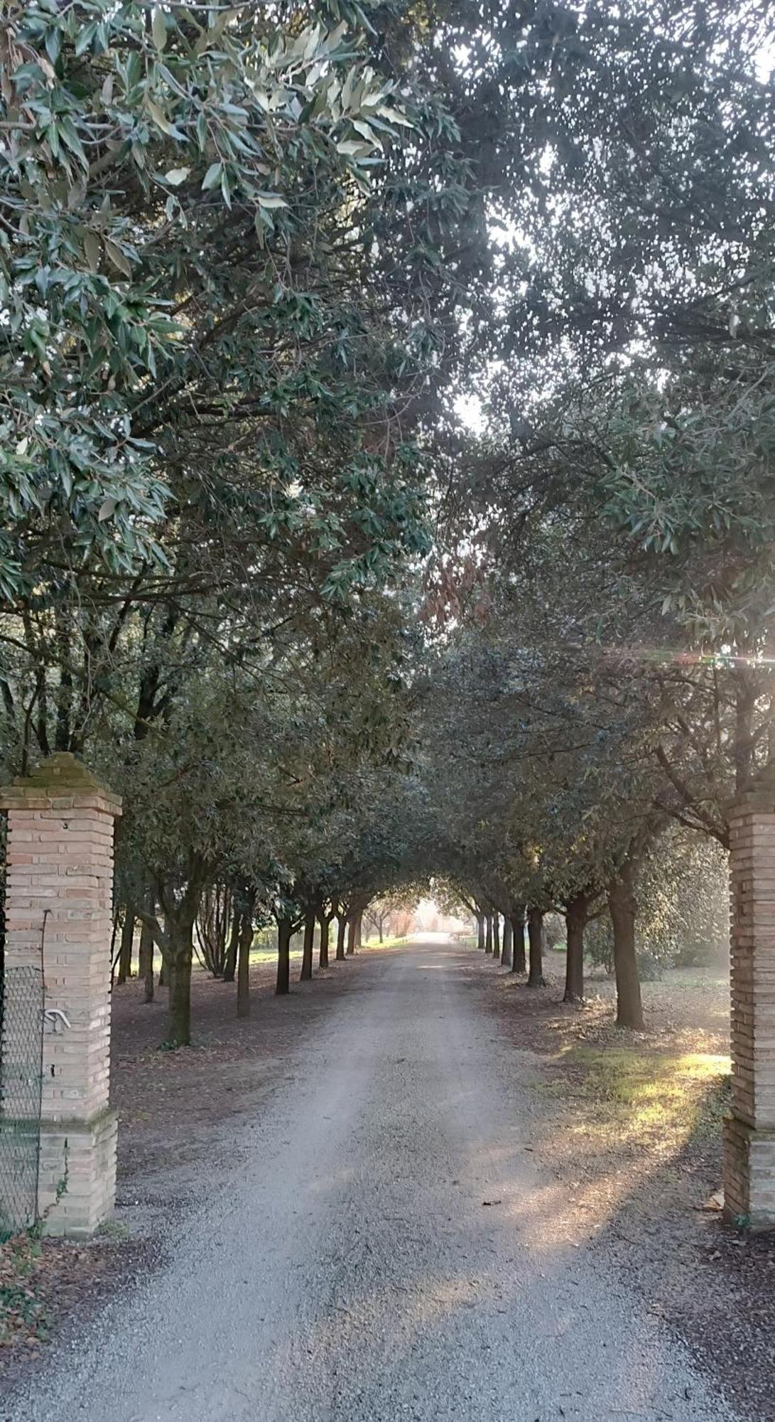 Tenuta Del Viandante Filottrano Exterior photo